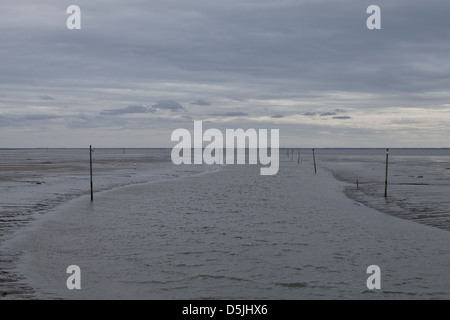 Einen Kanal gekennzeichnet durch Holzpfosten bei Ebbe am Hafen von Andernos Les Bains, Gironde, Frankreich Stockfoto