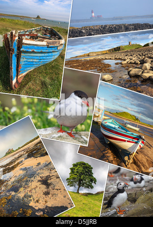 Eine Montage von 8 Bildern eingefangen in Northumberland Stockfoto