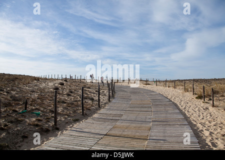 Der Holzsteg führt zum Strand von Le Grand Crohot, Lege-Cap-Ferret, Frankreich Stockfoto