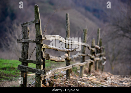 Zaunlinie Landschaft blattlosen Bäume im Hintergrund Stockfoto