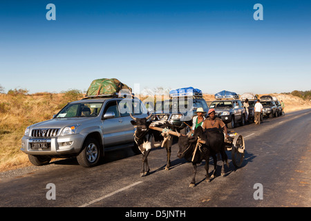 Madagaskar, Zebu Wagen passieren Linie geparkten Betrieb Wallacea 4 x 4 Fahrzeuge Stockfoto