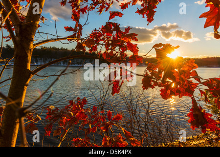 Walden Pond, Autumn Leaves, Concord, Massachusetts, USA Stockfoto