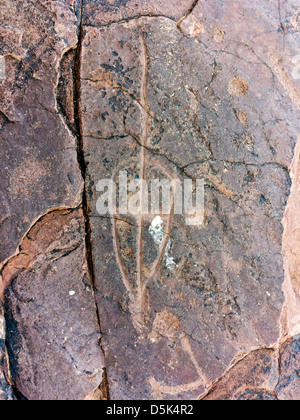 Prähistorische Felszeichnungen in Oukaimeden Skigebiet im hohen Atlas-Gebirge in Marokko Stockfoto