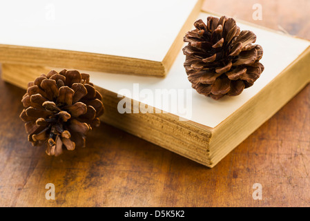 Antikes Buch und Kiefer Kegel Stockfoto
