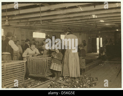 Die vierjährige Mary, die täglich zwei Töpfe Austern in Dunbar schütteltund. Neigt das Baby, wenn nicht arbeiten ... Ort: Dunbar, Louisiana (LOC) Stockfoto