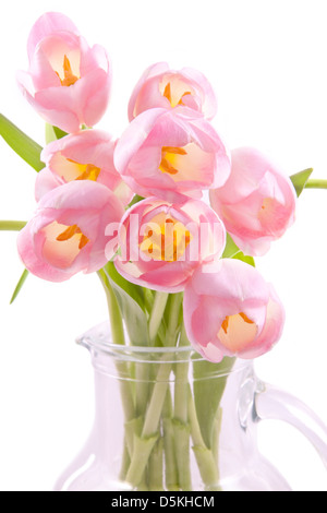 Schöne rosa Tulpen hautnah über weißen isoliert Stockfoto