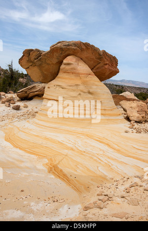 Gelber Sandstein-Formationen in Ojito Wilderness Study Area Stockfoto