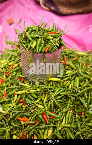 Madagaskar, Nosy Be, Hell-Ville, Central Market, kleine heiße rote und grüne Chilis zum Verkauf Stockfoto