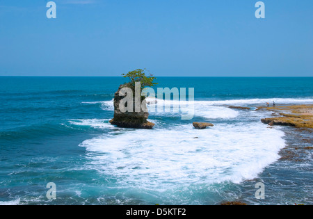 Insel am Strand in Costa Rica, Playa Manzanillo. Zentral-Amerika. Stockfoto