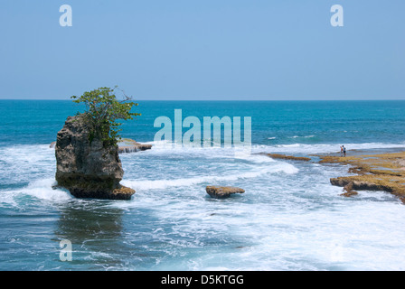 Insel am Strand in Costa Rica, Playa Manzanillo. Zentral-Amerika. Stockfoto