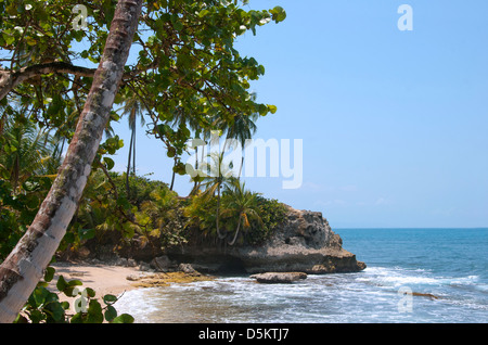 Der Strand in Costa Rica, mit Dschungel, Strand, Playa Manzanillo erreicht. Zentral-Amerika. Stockfoto