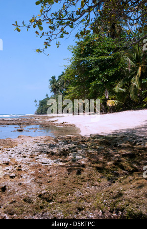 Der Strand in Costa Rica, mit Dschungel, Strand, Playa Manzanillo erreicht. Zentral-Amerika. Stockfoto