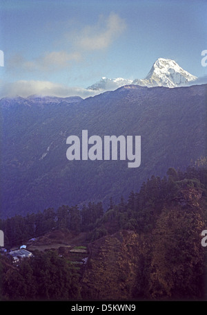 Dawn Blick auf Annapurna South von in der Nähe von Deurali auf Annapurna Runde Nepal Himalaya Stockfoto