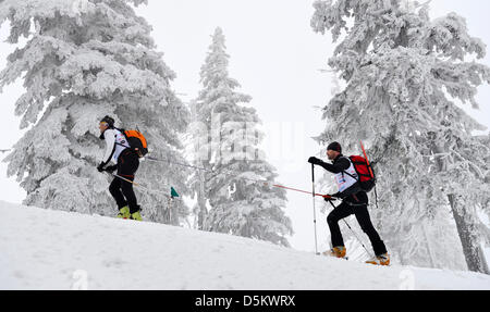 Spindleruv Mlyn, Tschechische Republik. 4. April 2013.  Teilnehmer aus Tschechien, Slowakei und Polen werden während des internationalen Wettbewerbs des Bergrettungsdienstes im Riesengebirge in Spindleruv Mlyn, Tschechische Republik, 4. April 2013 gesehen. Bildnachweis: CTK Foto/David Tanecek/Alamy Live News Stockfoto