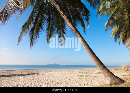 Palmen, Strand, Sommer, Meer, Baum, Blue China Hainan Stockfoto