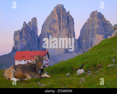 Rifugio Antonio Locatelli S. Innerkofler, Tre Cime di Lavaredo, Dolomiten, Südtirol, Italien Stockfoto