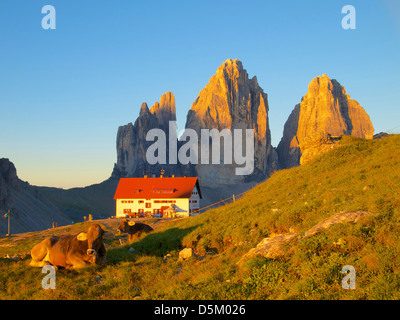 Rifugio Antonio Locatelli S. Innerkofler, Tre Cime di Lavaredo, Dolomiten, Südtirol, Italien Stockfoto