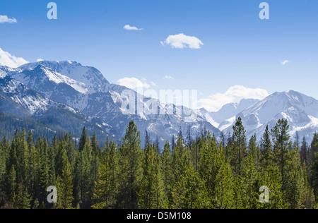 USA, Wyoming, Blick auf Wald mit Rocky Mountains im Hintergrund Stockfoto