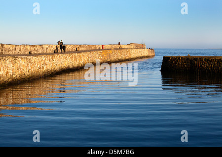 Der Hafen in St Andrews bei Sonnenuntergang Fife Schottland Stockfoto