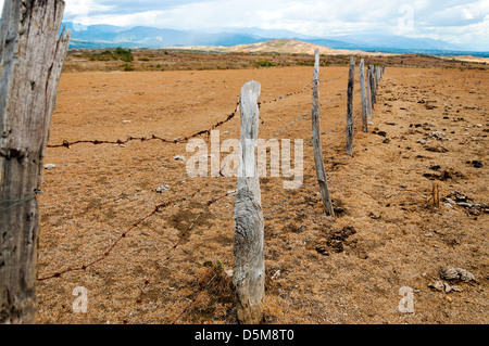 Alten verwitterten Zaunpfosten in einer trockenen ariden region Stockfoto