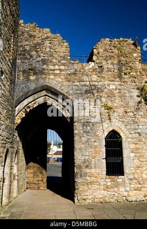 Ruinen des alten Bischofspalastes, Llandaff, Cardiff, Wales. Stockfoto