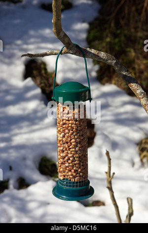 Winter Vogelfutter Erdnüsse in einen Kunststoff Einzug in einem Garten in England Stockfoto