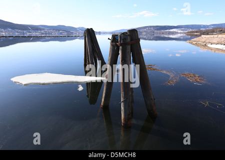 Holzstangen in einem norwegischen Fjord, Drammensfjorden, Drammen, Norwegen, Europa Stockfoto