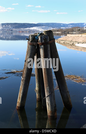 Holzstangen in einem norwegischen Fjord, Drammensfjorden, Drammen, Norwegen, Europa Stockfoto