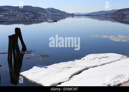 Holzstangen in einem norwegischen Fjord, Drammensfjorden, Drammen, Norwegen, Europa Stockfoto