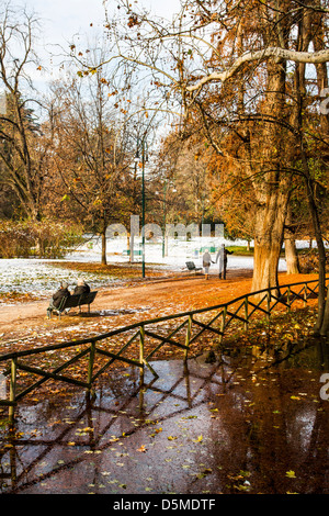 Parco Sempione im Winter. Stockfoto