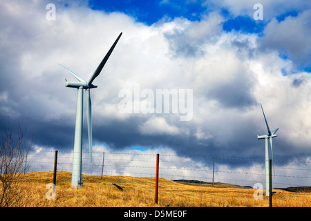 Lambrigg Windpark liegt direkt an der M6 nördlich der Kreuzung 37 in Cumbria Windkraftanlagen auf Landschaft Stockfoto