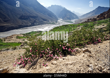 Himalaya Berg und Fluss in der Sommerzeit Stockfoto