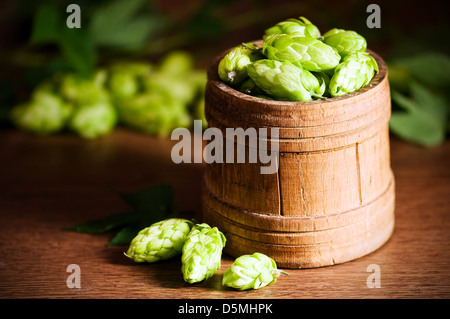 Hop-on-Holzfaß closeup Stockfoto