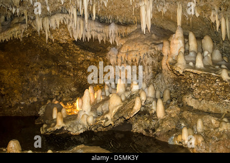 Kalkstein Stalaktiten und Stalagmiten in Harrisons Cave, Barbados Stockfoto