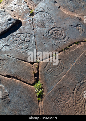 Prähistorische Felszeichnungen in Oukaimeden Skigebiet im hohen Atlas-Gebirge in Marokko Stockfoto