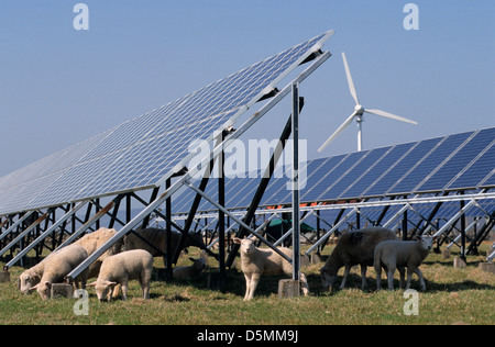 Deutschland, Nordsee-Insel Pellworm Sonnenkollektoren der kombiniert Solar- und wind-Kraftwerk von Eon Stockfoto