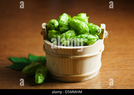 Hop-on-Holzfaß closeup Stockfoto