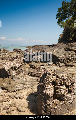 Madagaskar, Nosy Be, Nosy Tanikely Insel, Korallen Aufschlüsse auf Landzunge oberhalb des Strandes Stockfoto
