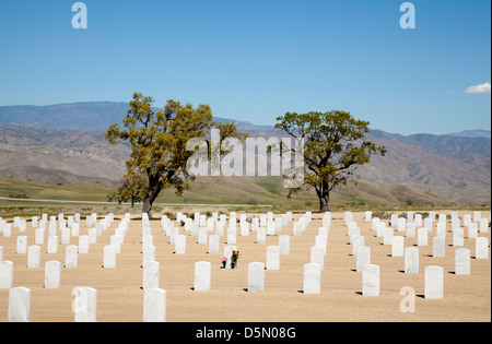 Gräber in Bakersfield Veterans Friedhof, Kalifornien, 2013. Stockfoto