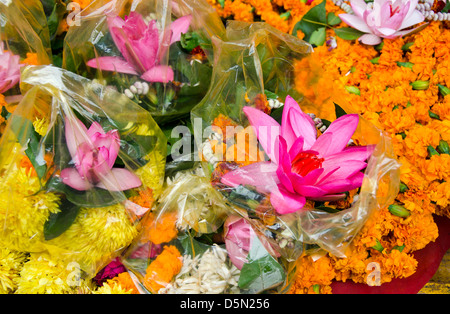 verschiedene bunte Blumen und Lotus in Varanasi Straßenmarkt, Indien Stockfoto