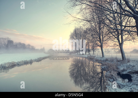 Waveney Fluss an der Grenze von Norfolk/Suffolk im winter Stockfoto