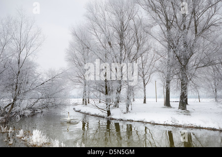 Waveney Fluss an der Grenze von Norfolk/Suffolk im winter Stockfoto