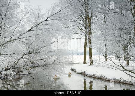 Waveney Fluss an der Grenze von Norfolk/Suffolk im winter Stockfoto