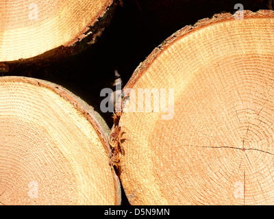 Protokollierung-Website Stockfoto