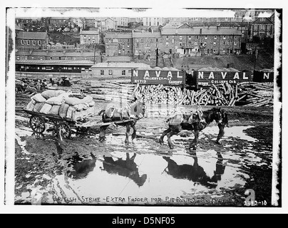 Britische Streik - extra Futter für Pit Pony, Pontypridd (LOC) Stockfoto