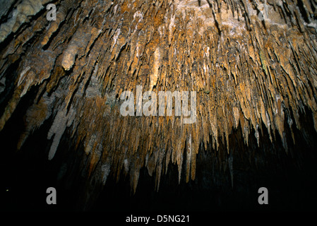 Ngligi Höhle Yallingup Westaustralien Stockfoto