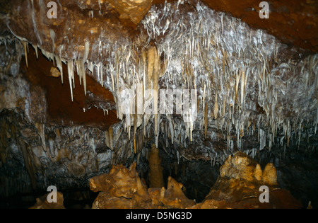 Ngligi Höhle Yallingup Westaustralien Stockfoto