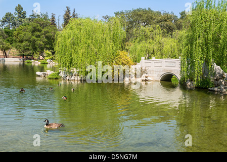 Chinesischer Garten in der Huntington Library. Stockfoto