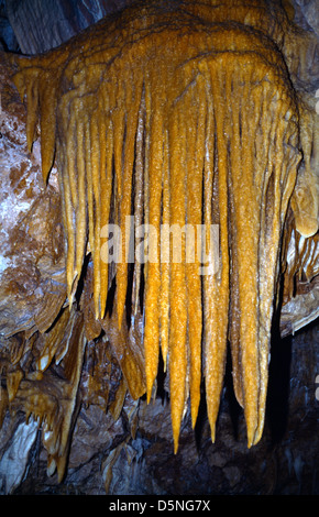 Ngligi Höhle Yallingup Westaustralien Stockfoto