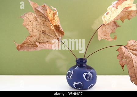 gelbe Ahornblätter in blauer vase Stockfoto